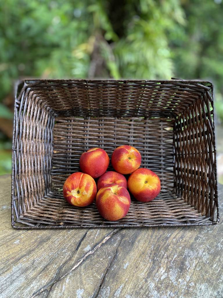 Nectarine Yellow Cert. /kg