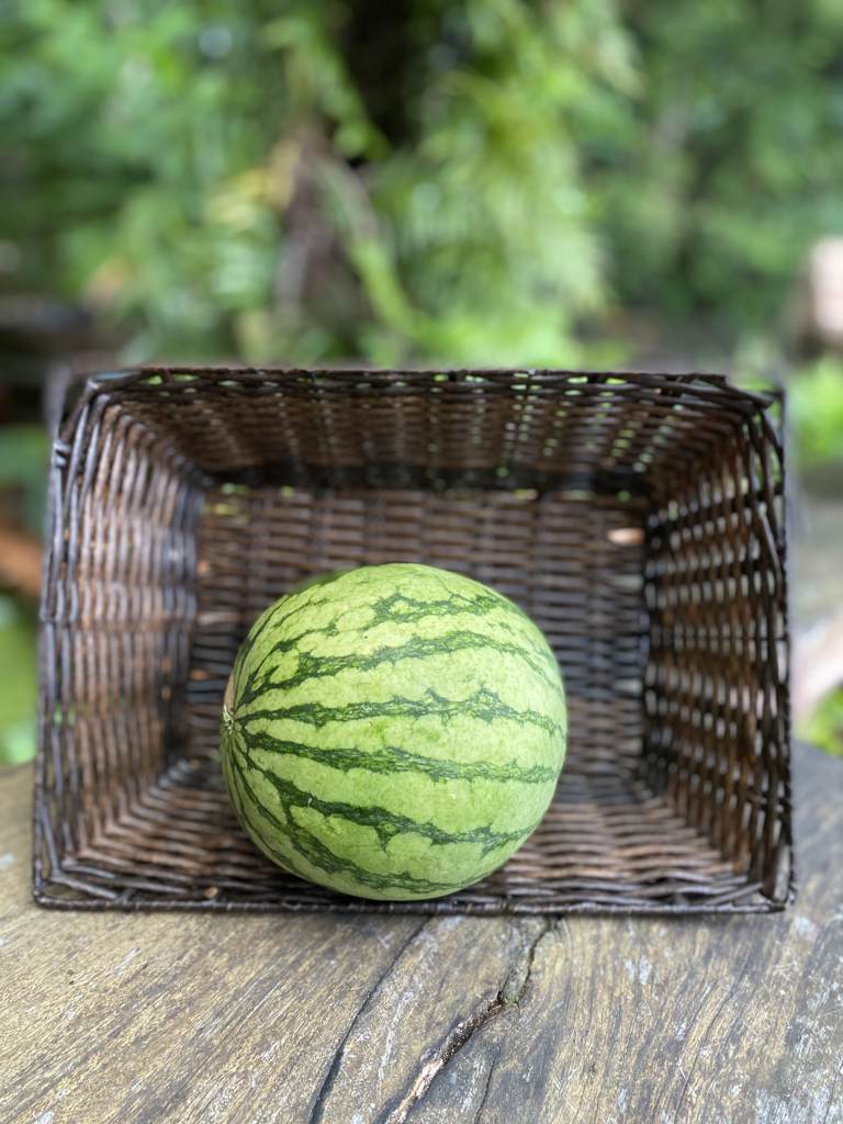 Watermelon Seedless Cert. /kg