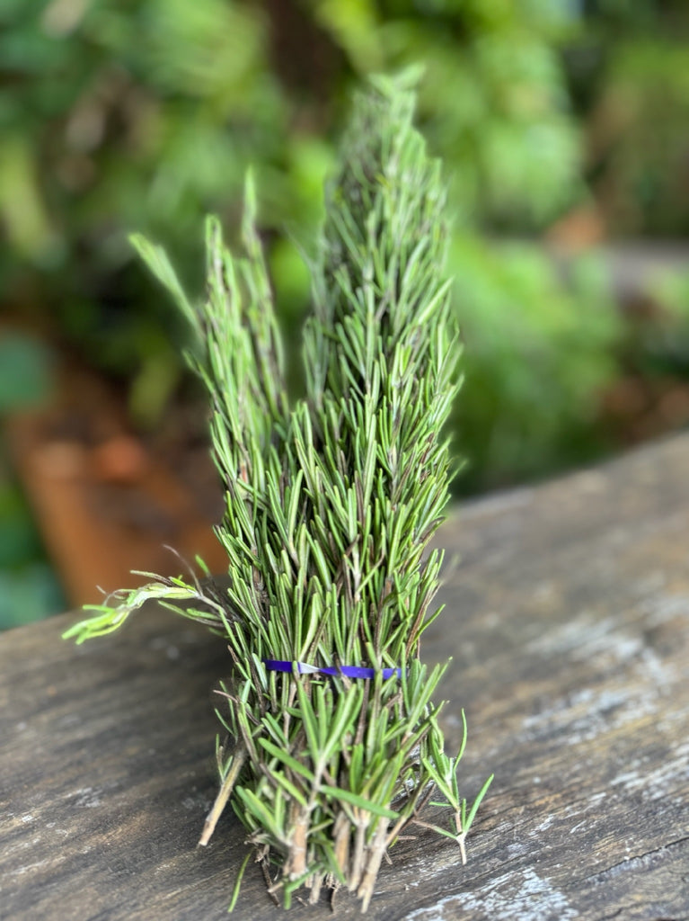 Rosemary Cert.