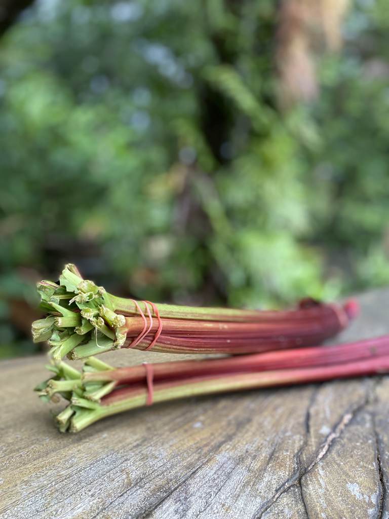 Rhubarb Cert. (bunch)
