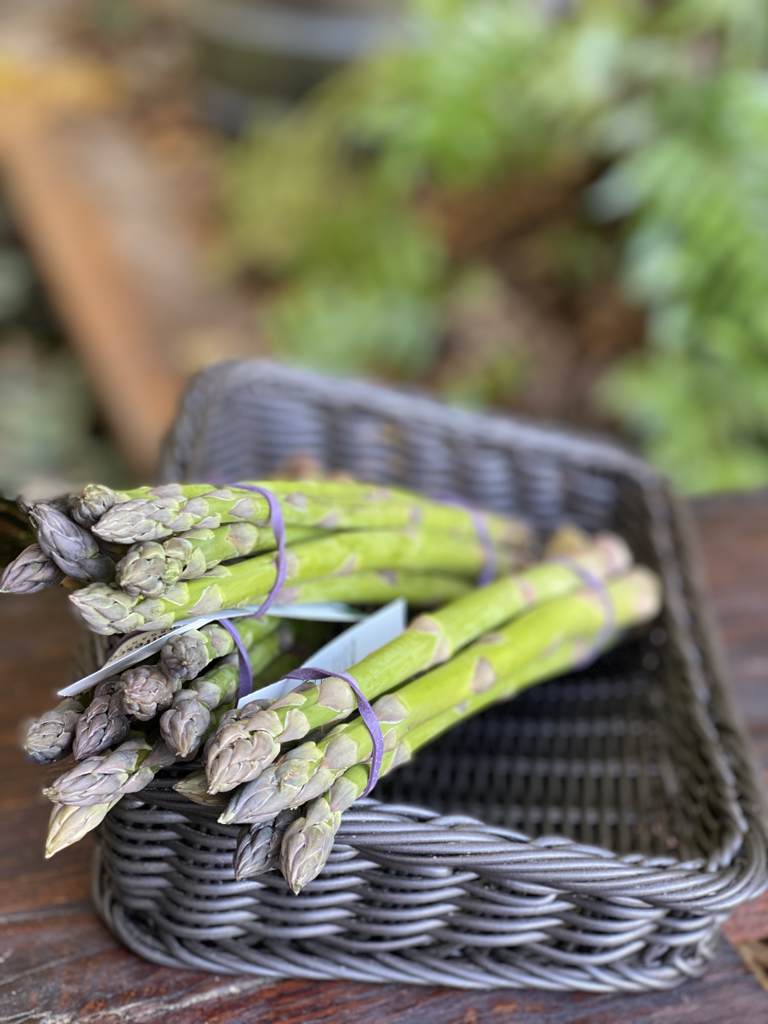 Asparagus (bunch)