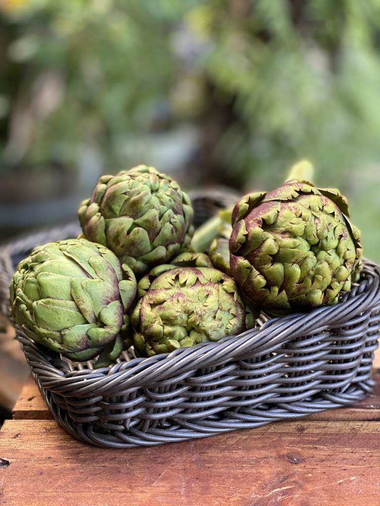 Artichoke (each)