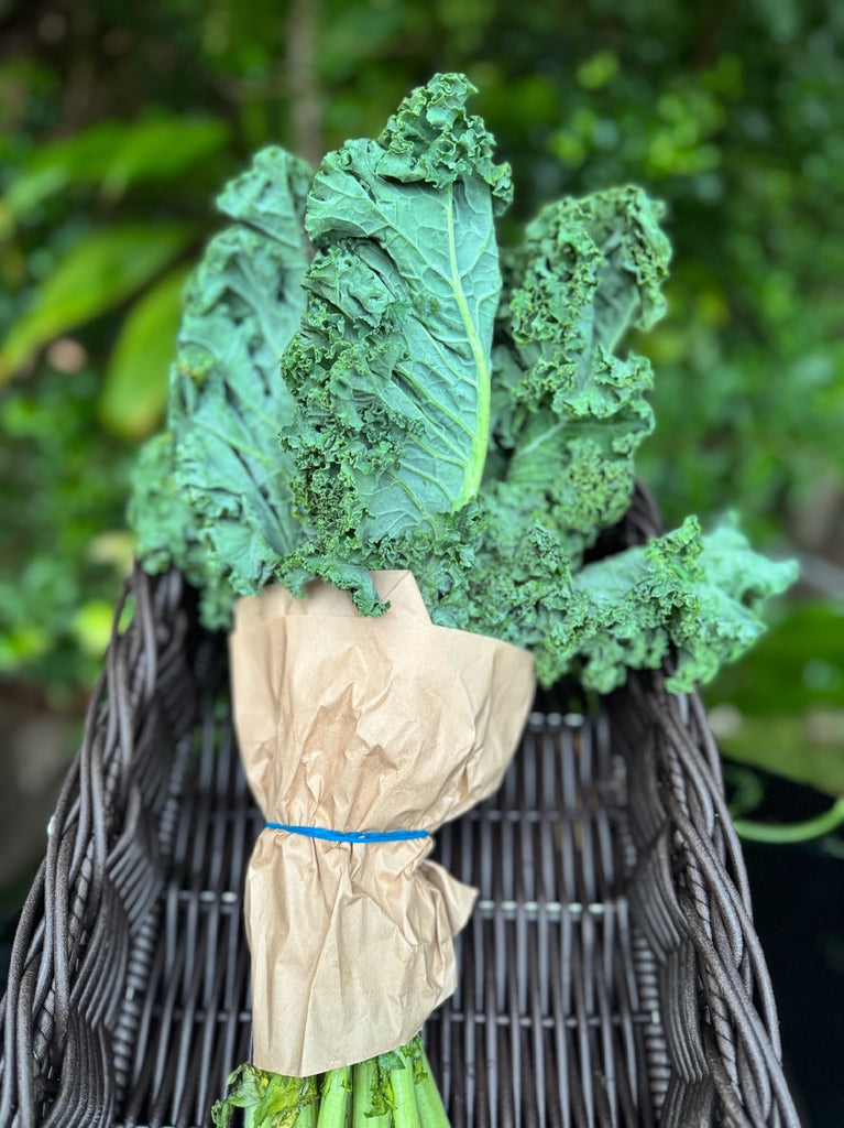 Kale Curly (bunch)