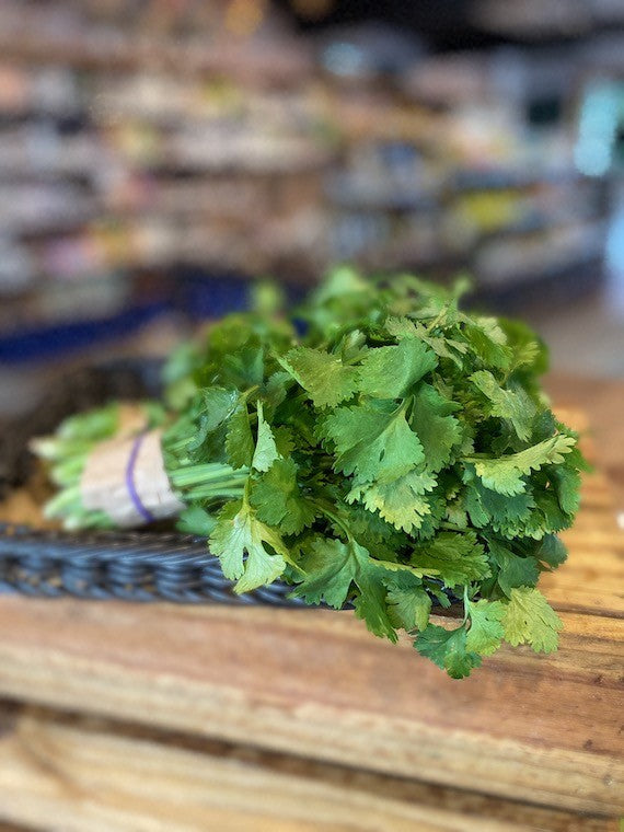 Coriander (bunch)