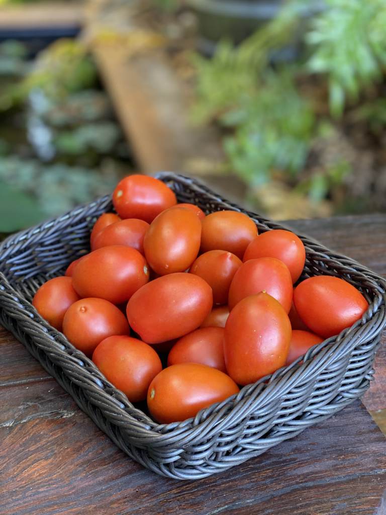 Tomato Roma Cert.