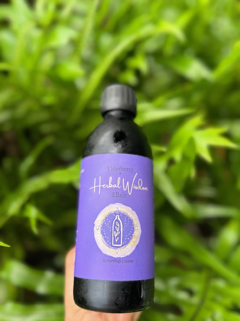 Herbal Wisdom Elderberry+ 250ml 