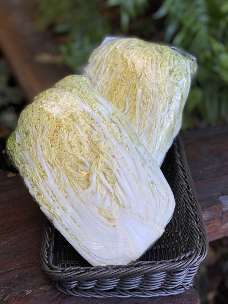 Cabbage Wombok Whole