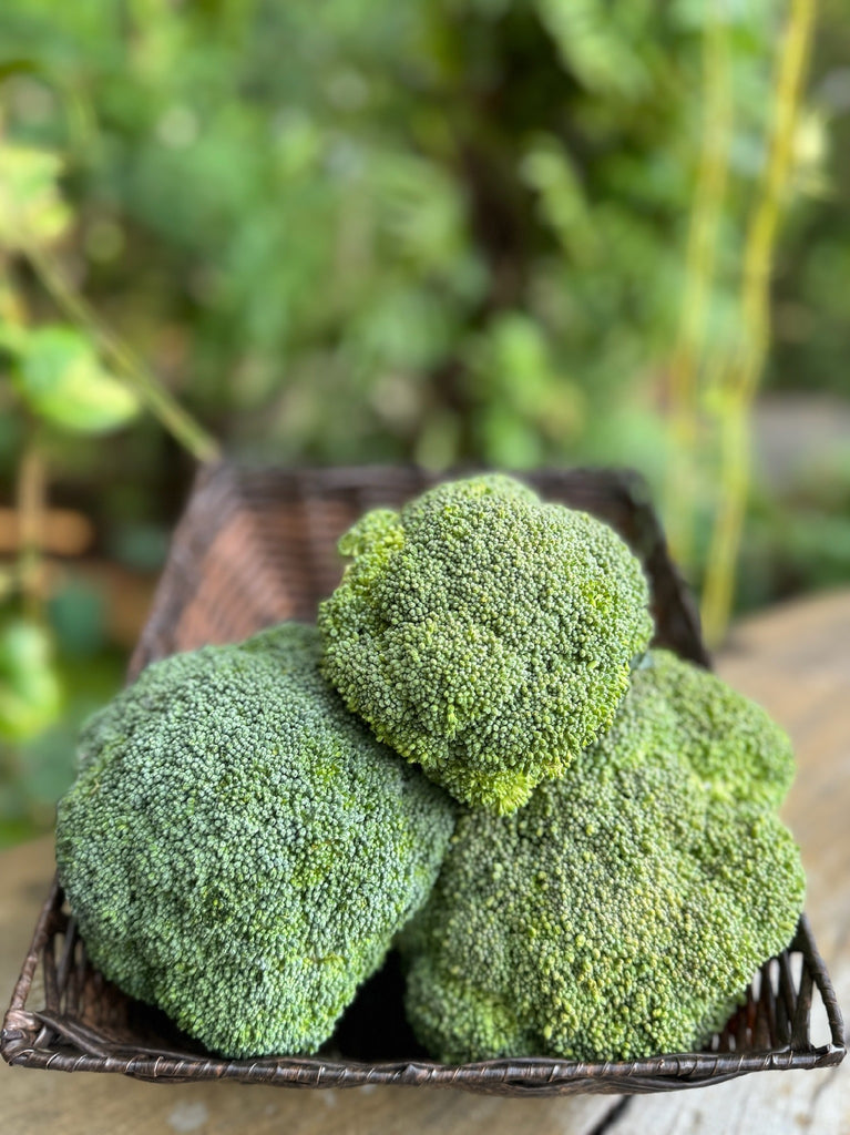 Broccoli 500g