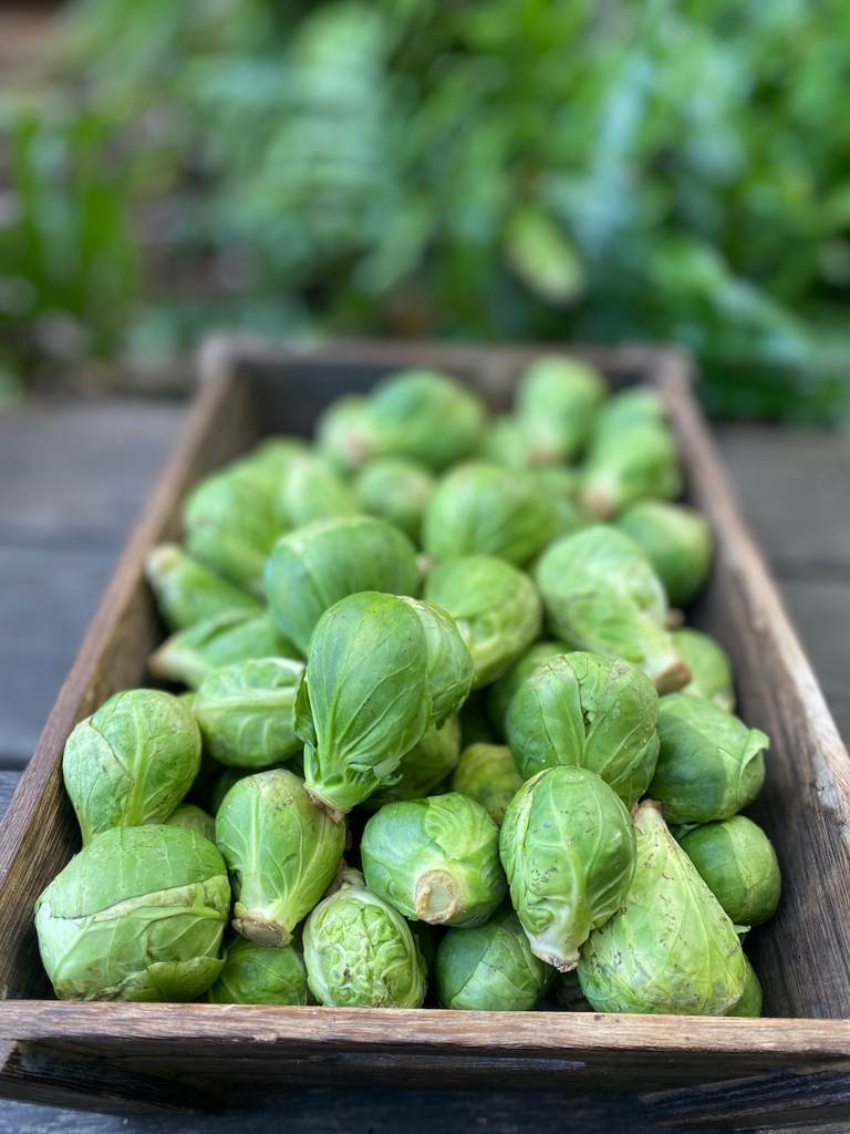 Brussel Sprouts 250g