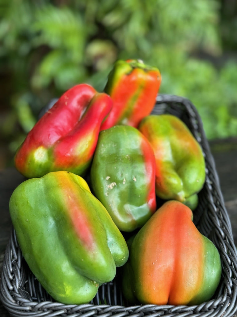 Capsicum Mixed 500g