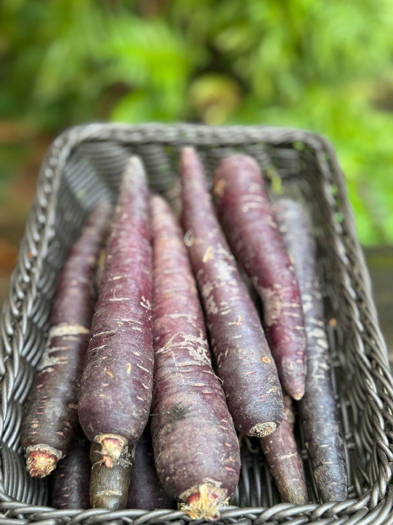 Carrots Purple 500g