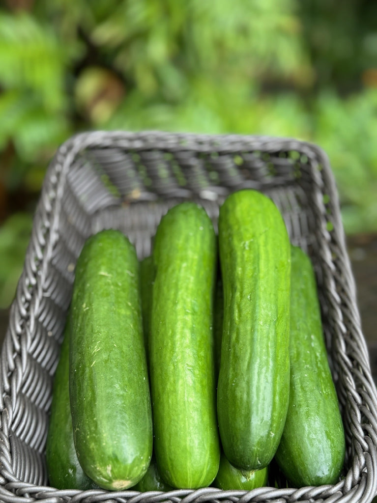 Cucumber Lebanese 500g