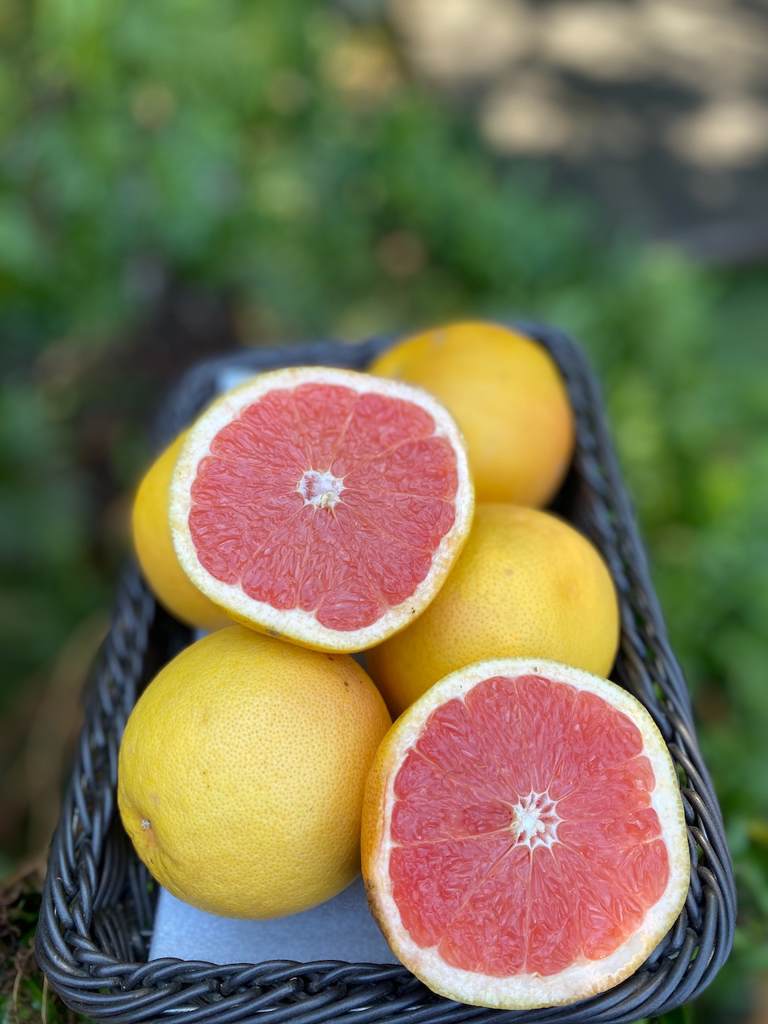 Grapefruit Ruby Cert. 500g