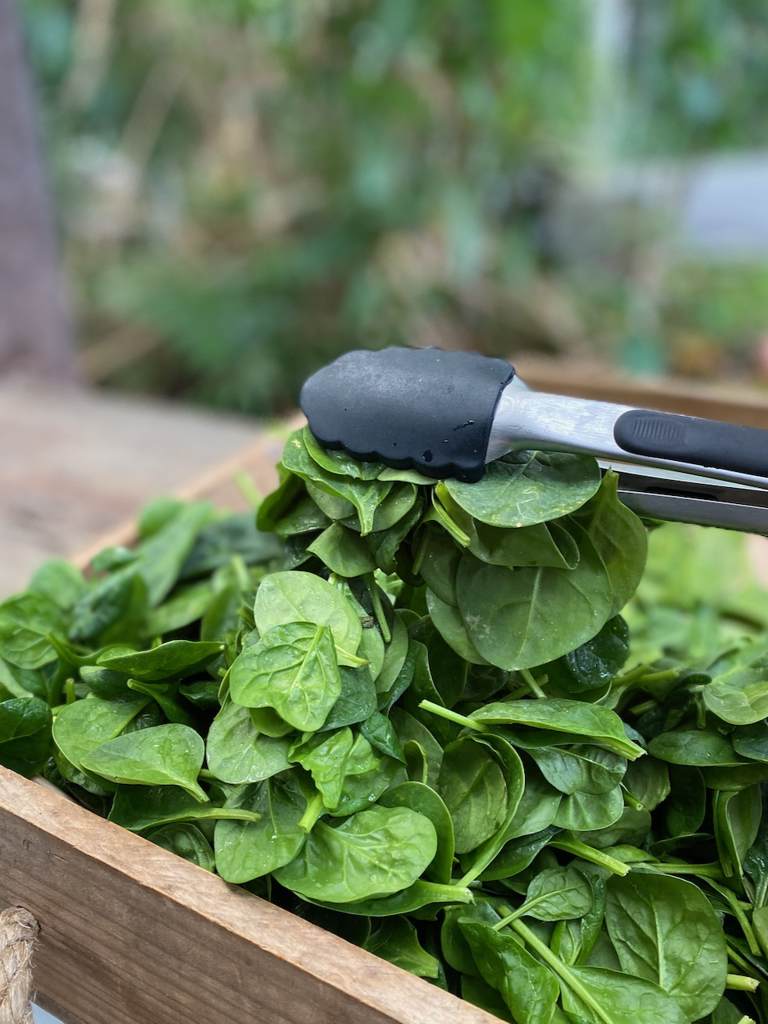 Spinach Baby Leaves 100g