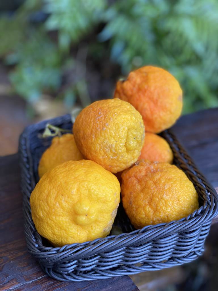Lemon - Local 500g