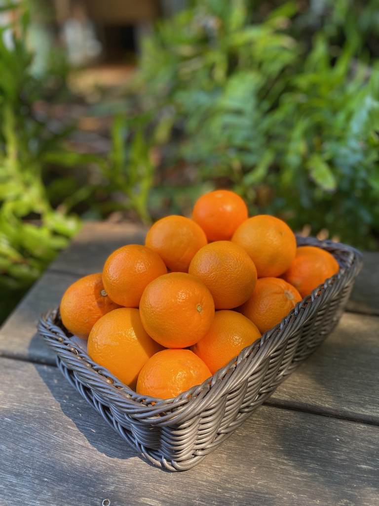 Oranges Juicing 500g