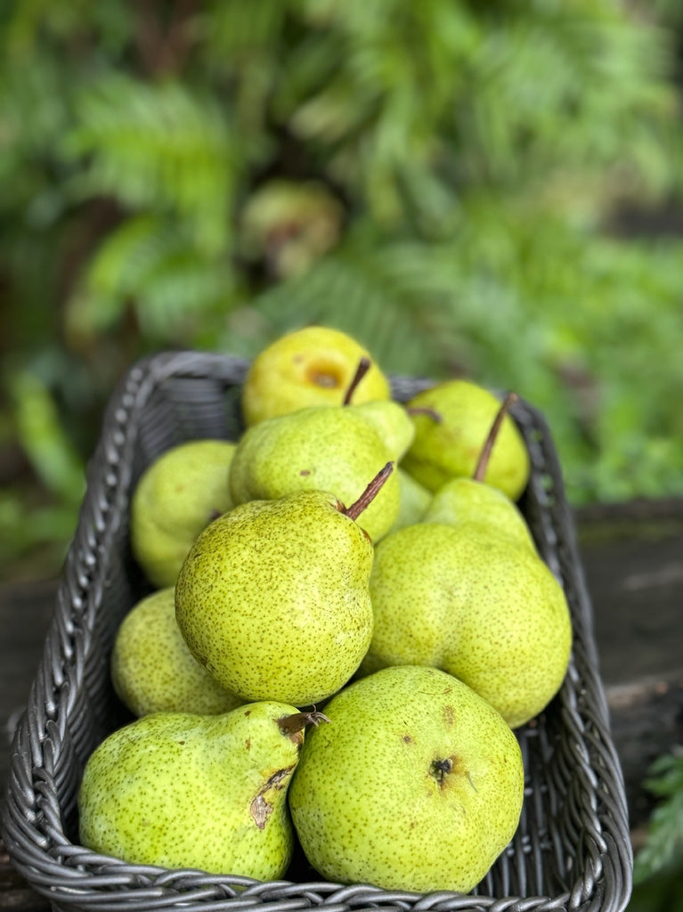 Pear 500g