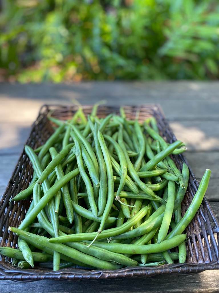 Green Beans 250g