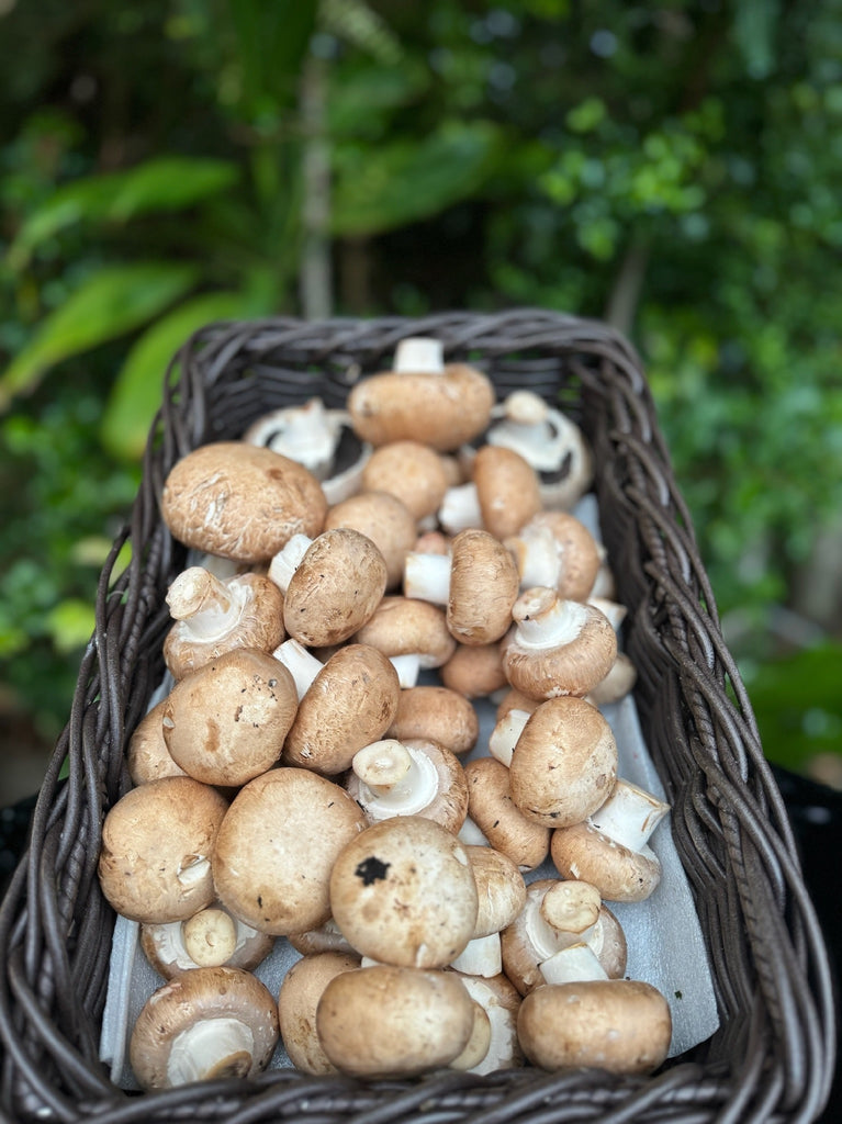 Mushroom Button 250g