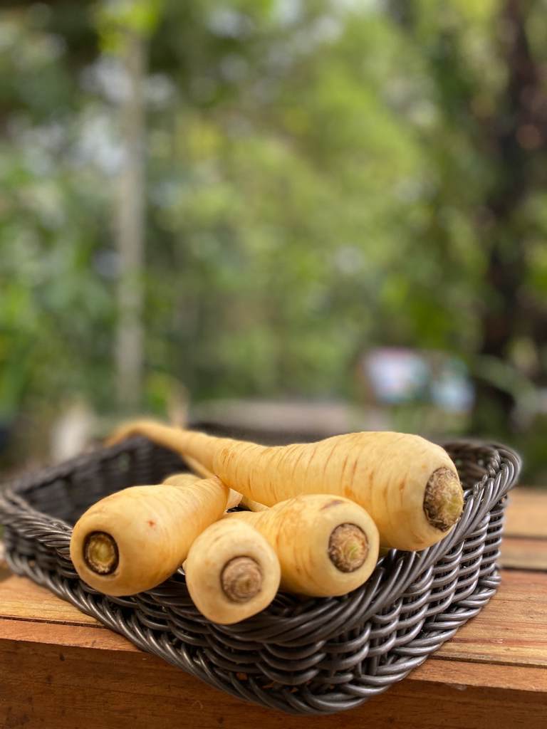 Parsnip Cert. 250g