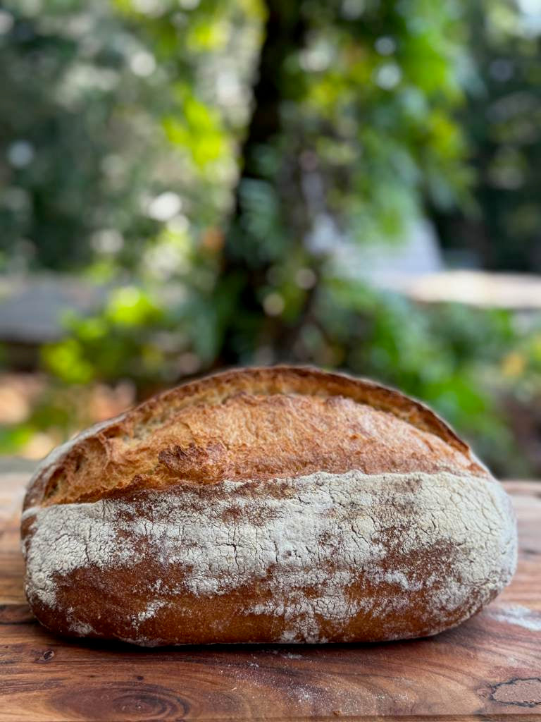 Sourdough White 36hrs