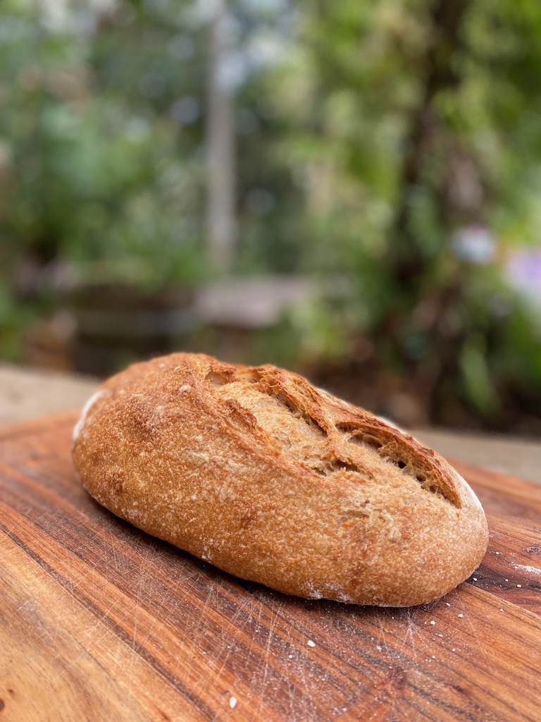 Sourdough White 36hrs