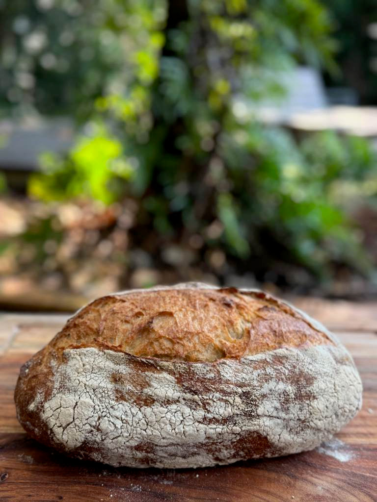 Sourdough Wholemeal  36hrs