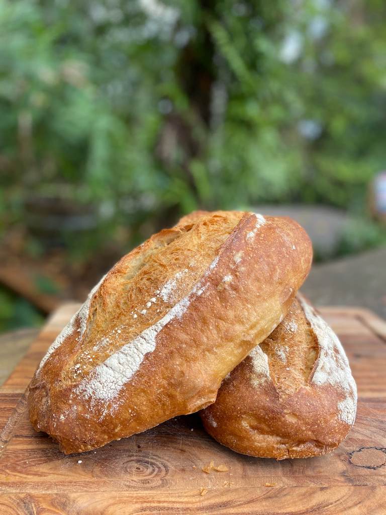 Sourdough Wholemeal  36hrs