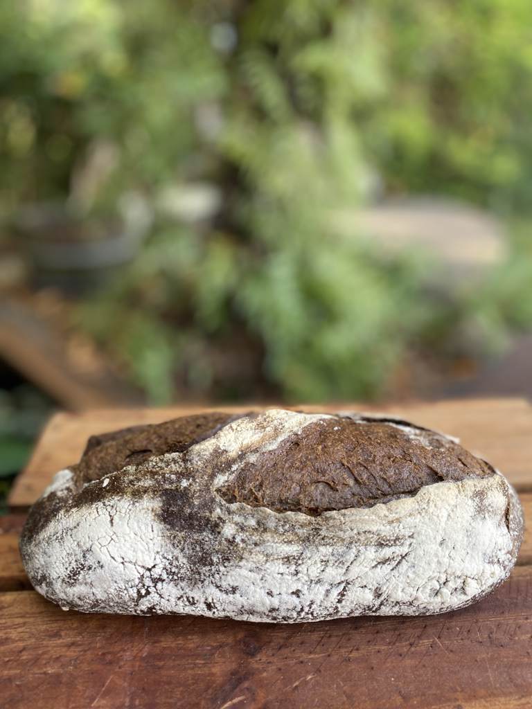 Sourdough Rye 36hrs
