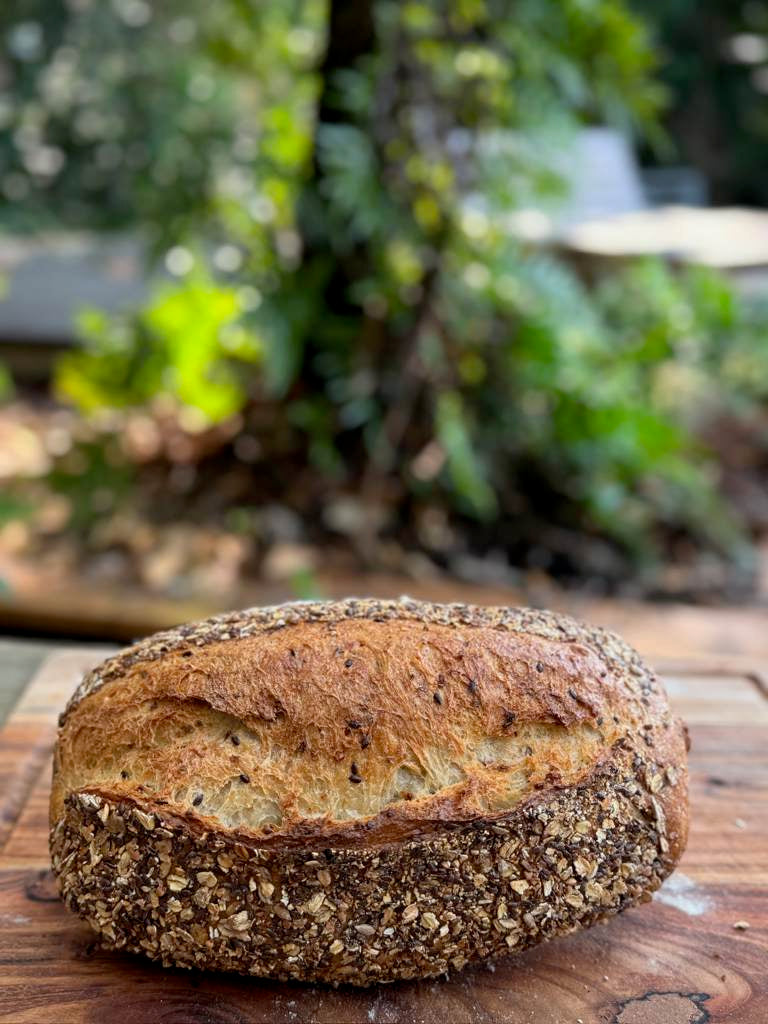 Sourdough Multigrain 36hrs