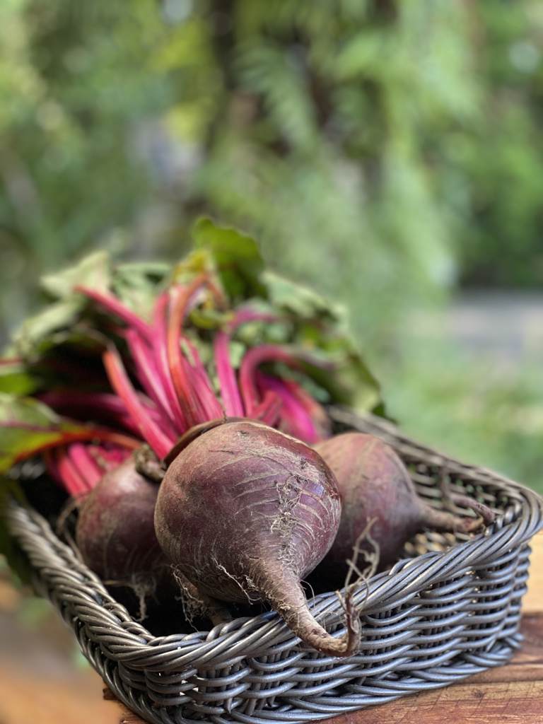 Beetroot - Local / Kg
