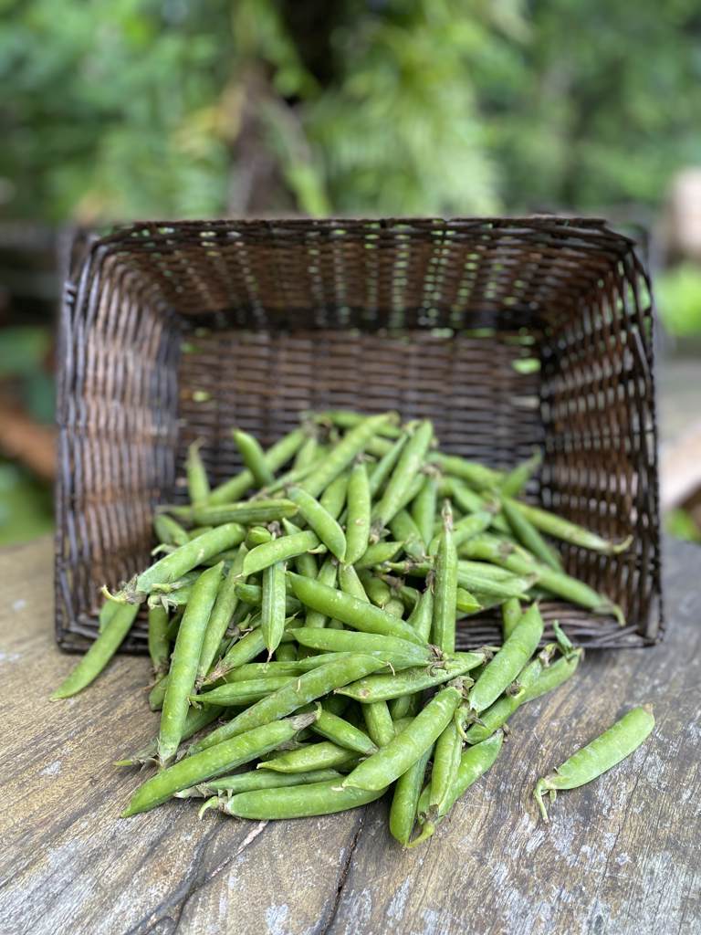 Peas Shelling Cert. 250g
