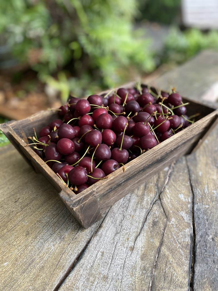 Cherries Cert. 100g