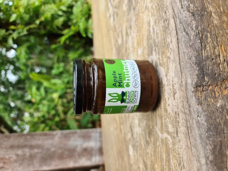 Bunnychow Mint Apple Chutney 250ml