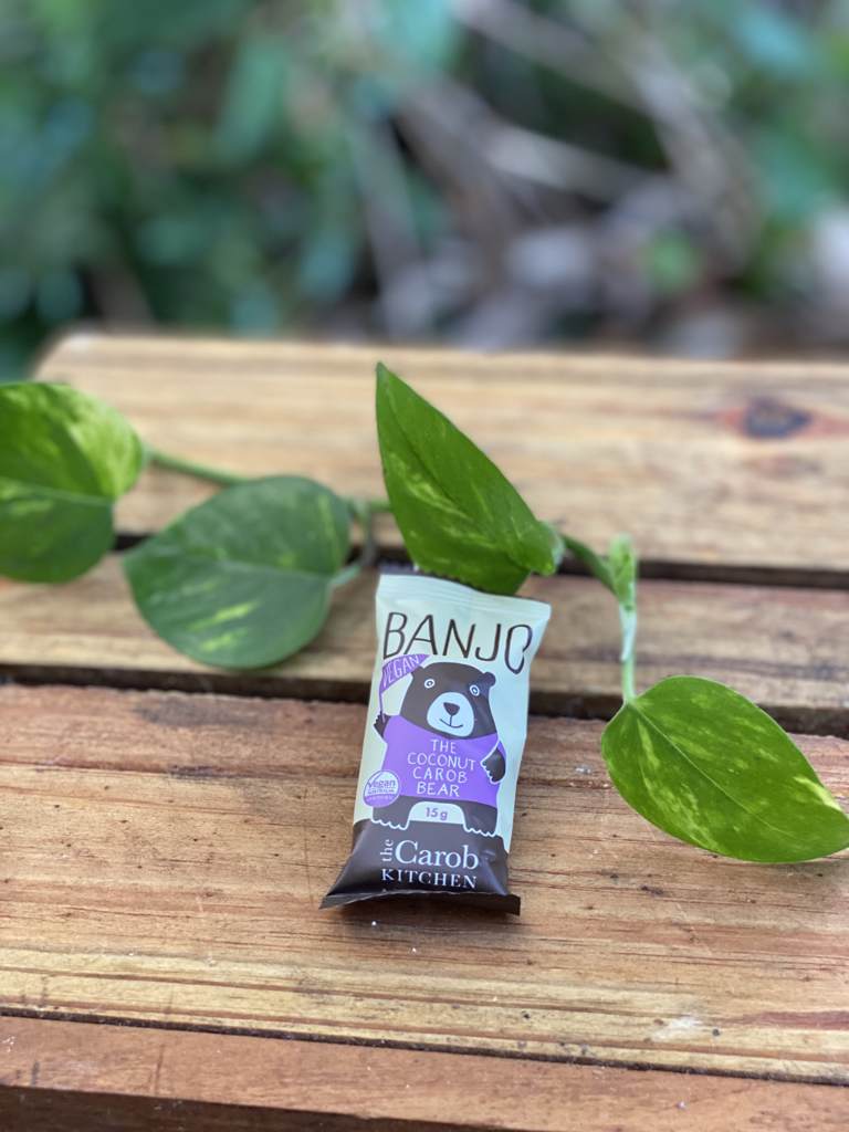 Banjo Bear Vegan Coconut 15g